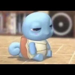 Meet your Posher, Brigette